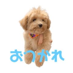 [LINEスタンプ] もなか(310)