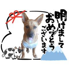 [LINEスタンプ] 5. ハルト(初実)