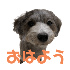 [LINEスタンプ] 桃(315)