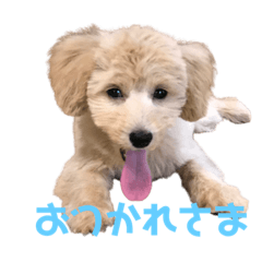 [LINEスタンプ] もか(304)