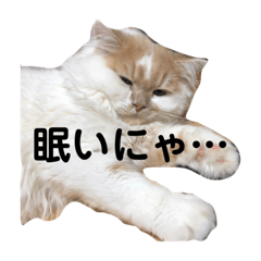 [LINEスタンプ] ねこのコメット1