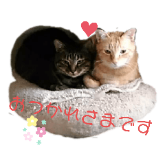 [LINEスタンプ] ともくんとまいのすたんぷ