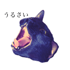 [LINEスタンプ] ゆずとべる