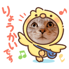 [LINEスタンプ] 田中さんちのネコ