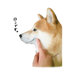 [LINEスタンプ] ロンです。