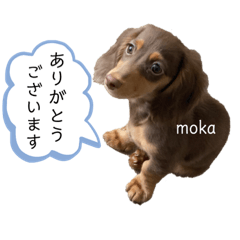 [LINEスタンプ] randy moka2