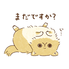 [LINEスタンプ] モフモフねこの敬語スタンプ