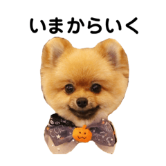 [LINEスタンプ] チャックだよ！②