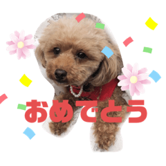 [LINEスタンプ] ナラファミリー27