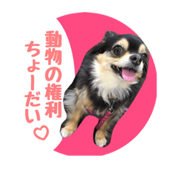 [LINEスタンプ] アニマルライツ岩手、室蘭