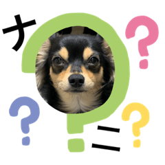 [LINEスタンプ] ときりといつも一緒(∪•ﻌ•∪)