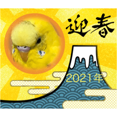 [LINEスタンプ] セキセイインコのスタンプ(お正月など)