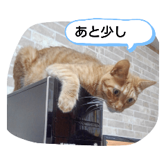 [LINEスタンプ] みいちゃんスタンプ202012