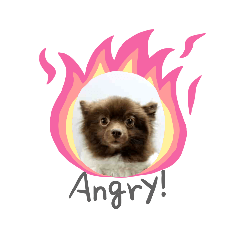 [LINEスタンプ] かわいい犬です