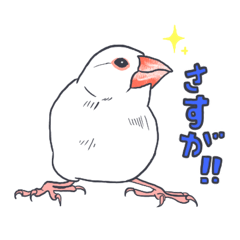 [LINEスタンプ] 文鳥といっしょ