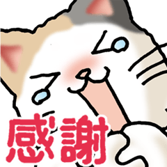 [LINEスタンプ] 猫大好き！その38