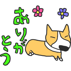 [LINEスタンプ] コーギー(犬)スタンプ2