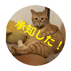 [LINEスタンプ] 茶虎猫れつくんスタンプ