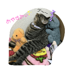 [LINEスタンプ] きなこ＆あずきNo.2