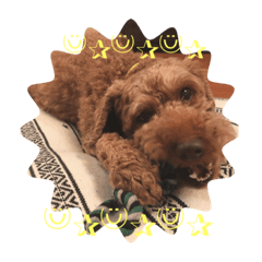 [LINEスタンプ] イチと愉快な仲間たち