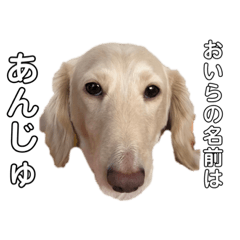[LINEスタンプ] 安藤 あんじゅ