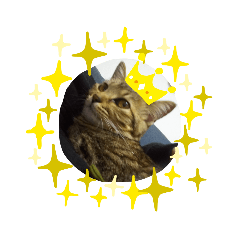 [LINEスタンプ] こてちゃんはるちゃん
