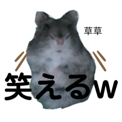 [LINEスタンプ] ちびハムちゃん7