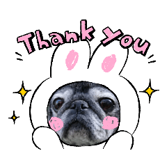 [LINEスタンプ] ぐぅすたんぷ