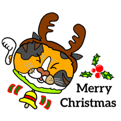 [LINEスタンプ] catcatcat_Christmas