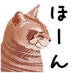 [LINEスタンプ] アジと八十匹のネコ達 その4