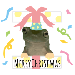 [LINEスタンプ] イエアメガエル Merry Christmas