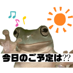 [LINEスタンプ] イエアメガエル 日常編2