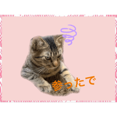 [LINEスタンプ] くーぼ君