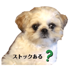 [LINEスタンプ] 日々まるちゃん31