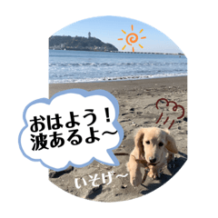 [LINEスタンプ] ダックス☆ひろしの海系スタンプ。その2
