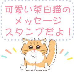 [LINEスタンプ] 茶白猫のメッセージスタンプ