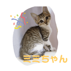 [LINEスタンプ] 保護猫ミミちゃん