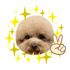 [LINEスタンプ] ちゃんちゃり