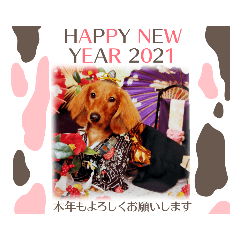 [LINEスタンプ] こむぎの正月
