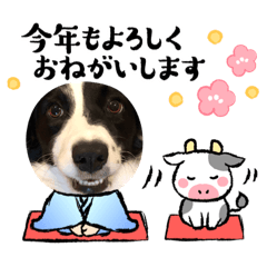 [LINEスタンプ] リンジー年賀用 2021