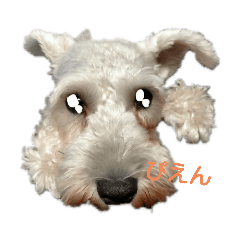 [LINEスタンプ] ミニシュナ君3