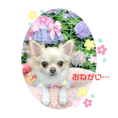 [LINEスタンプ] りおのあコロニー❤️2きゅん
