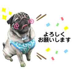 [LINEスタンプ] パグの楽の兄弟と暮らしの言葉