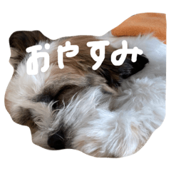 [LINEスタンプ] ナッツです