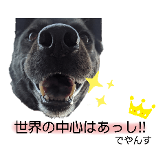 [LINEスタンプ] カムイ2