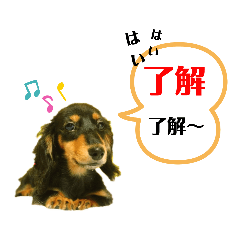 [LINEスタンプ] ミニチュアダックスの気ままなランチ⑥