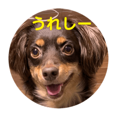 [LINEスタンプ] バズオのスタンプ