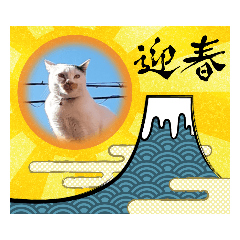[LINEスタンプ] 華凛と麗蘭と仲間たち②