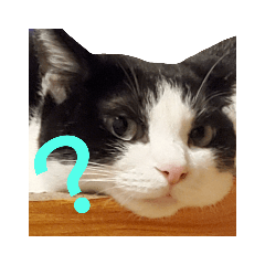[LINEスタンプ] ナナミーコマシ