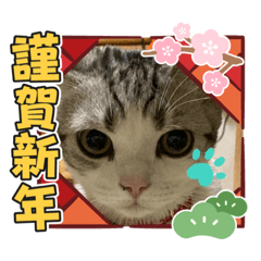 [LINEスタンプ] ミケユキチャンネルスタンプ2